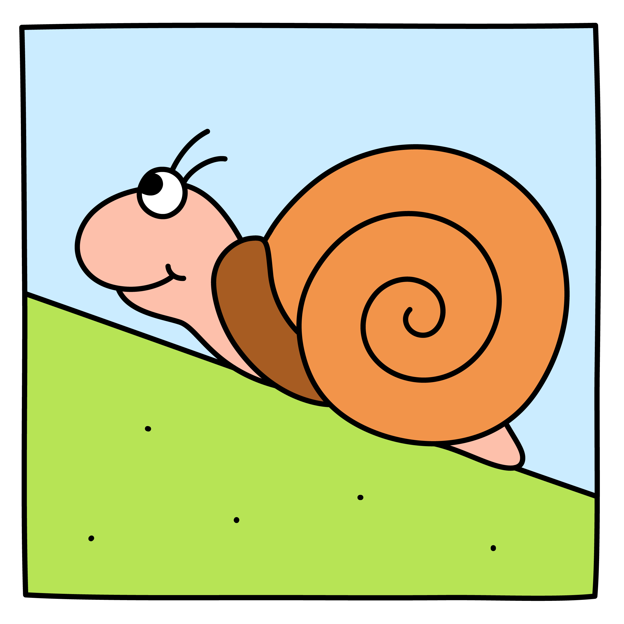 Schnecke mittel schwer.jpg